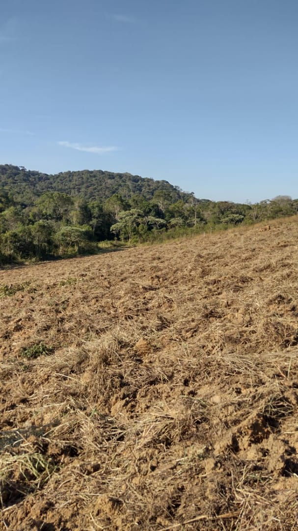 Foto - mogi das cruzes - boa vista