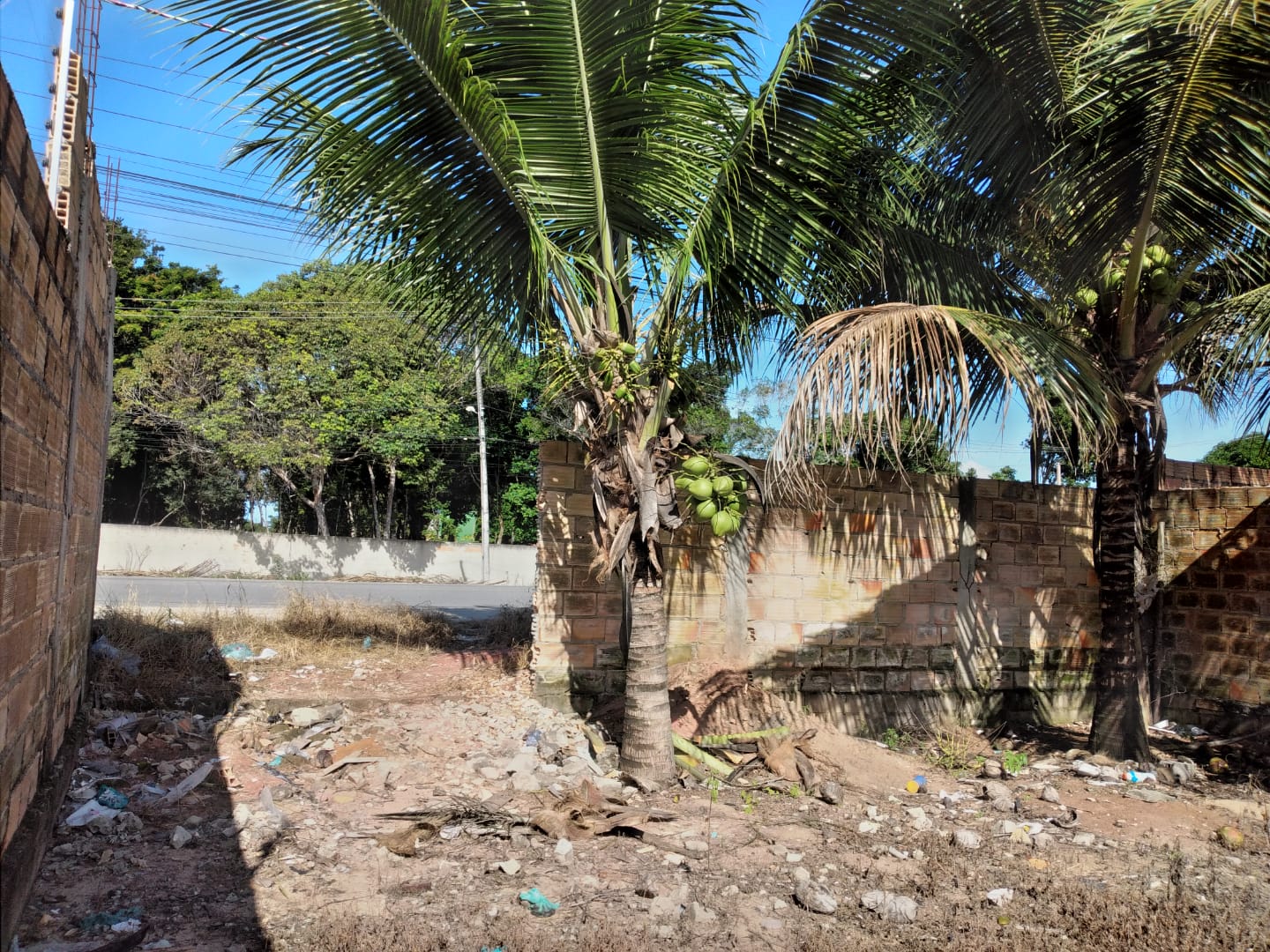 Foto -  - Taperapuan