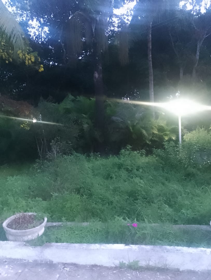 Foto -  - barra do jacuipe