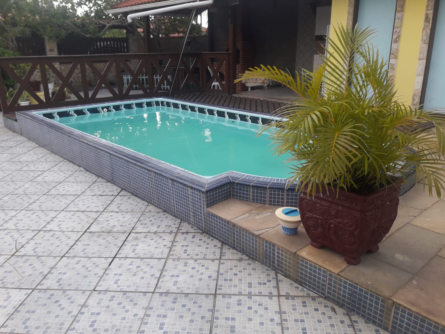 Foto -  - Cordeirinho