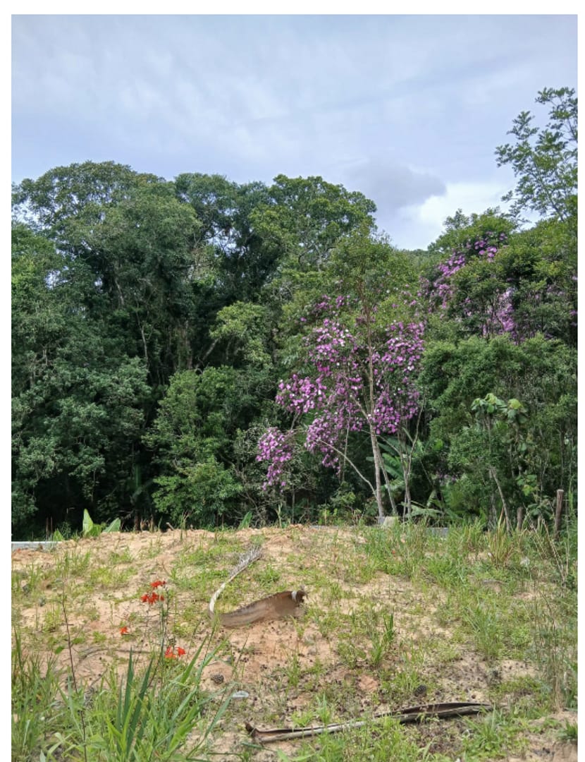 Foto -  - Chácaras Casemiro