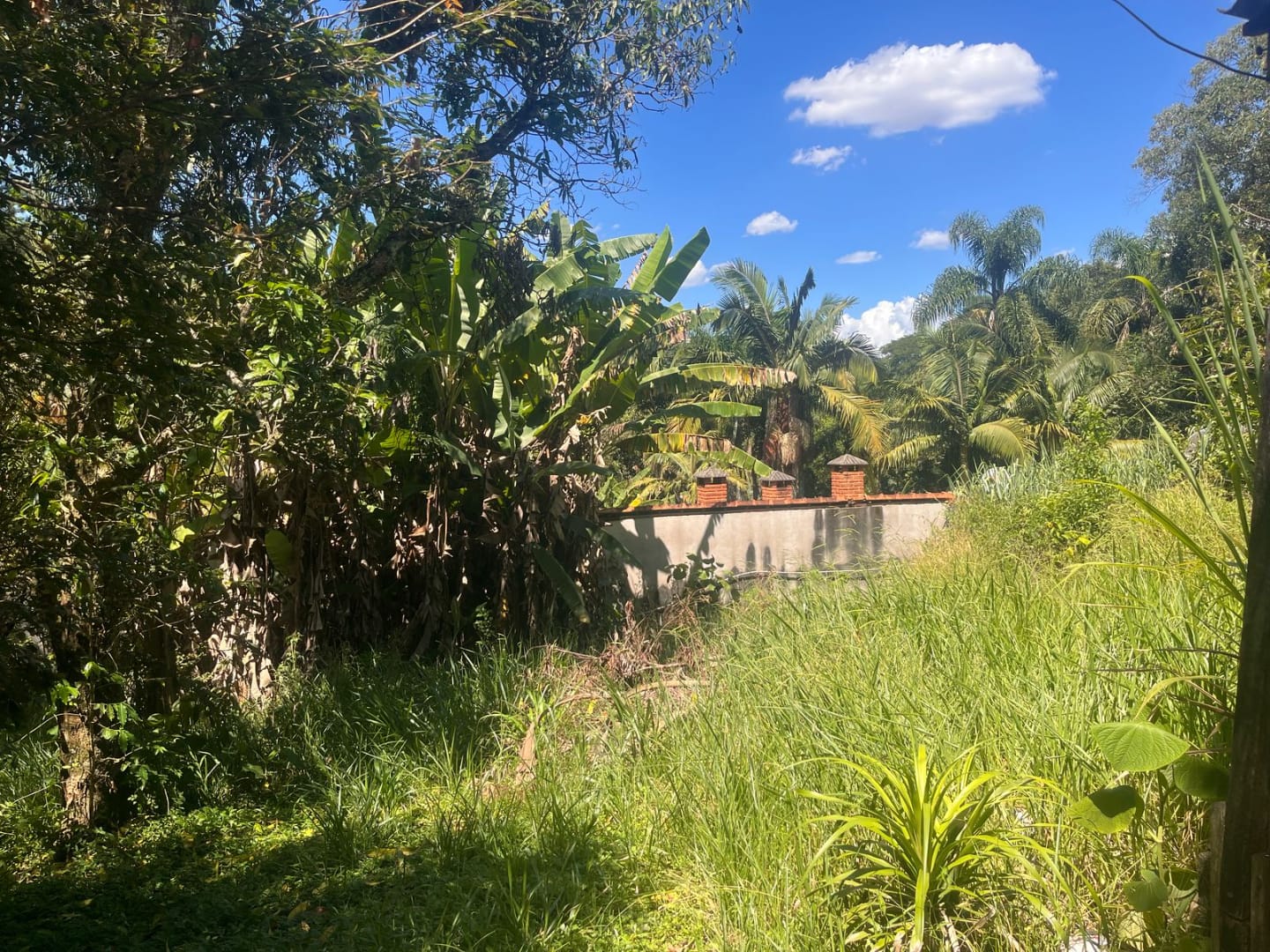 Foto -  - Meu Sossego